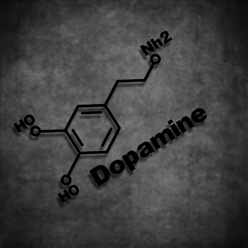1PC Dopamine Molecule Chemical - Home Decor Dopamine review and price
