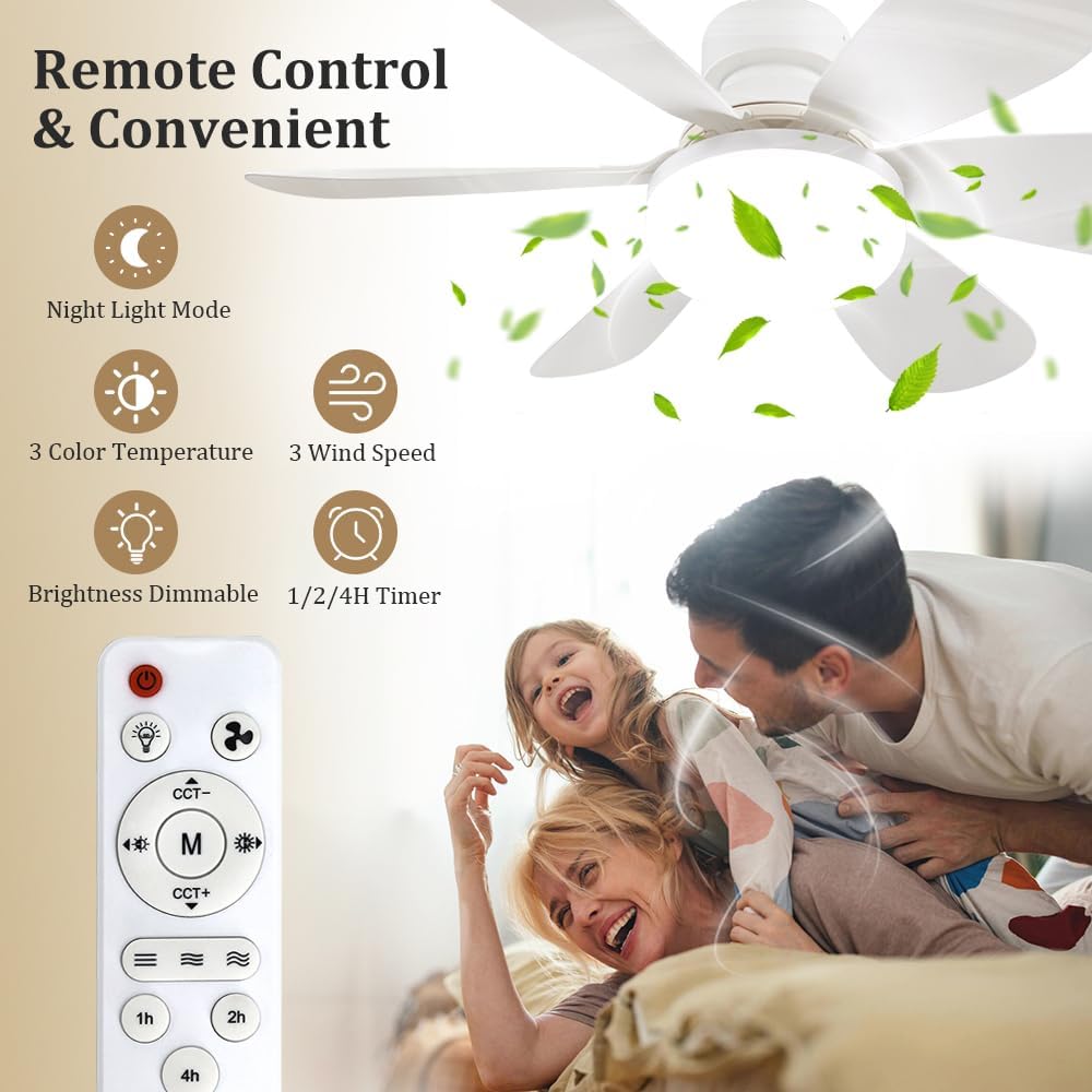 Socket Fan Light with Remote,  - Home Decor Lighting review and price