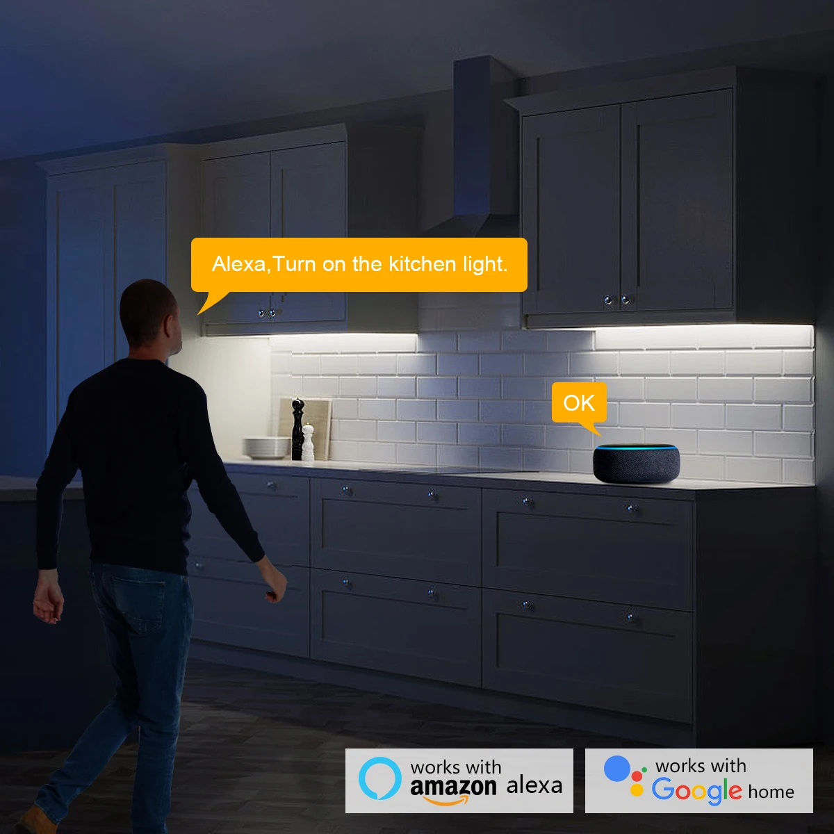 Smart Home Zigbee Tuya Voice C - Home Decor App review and price