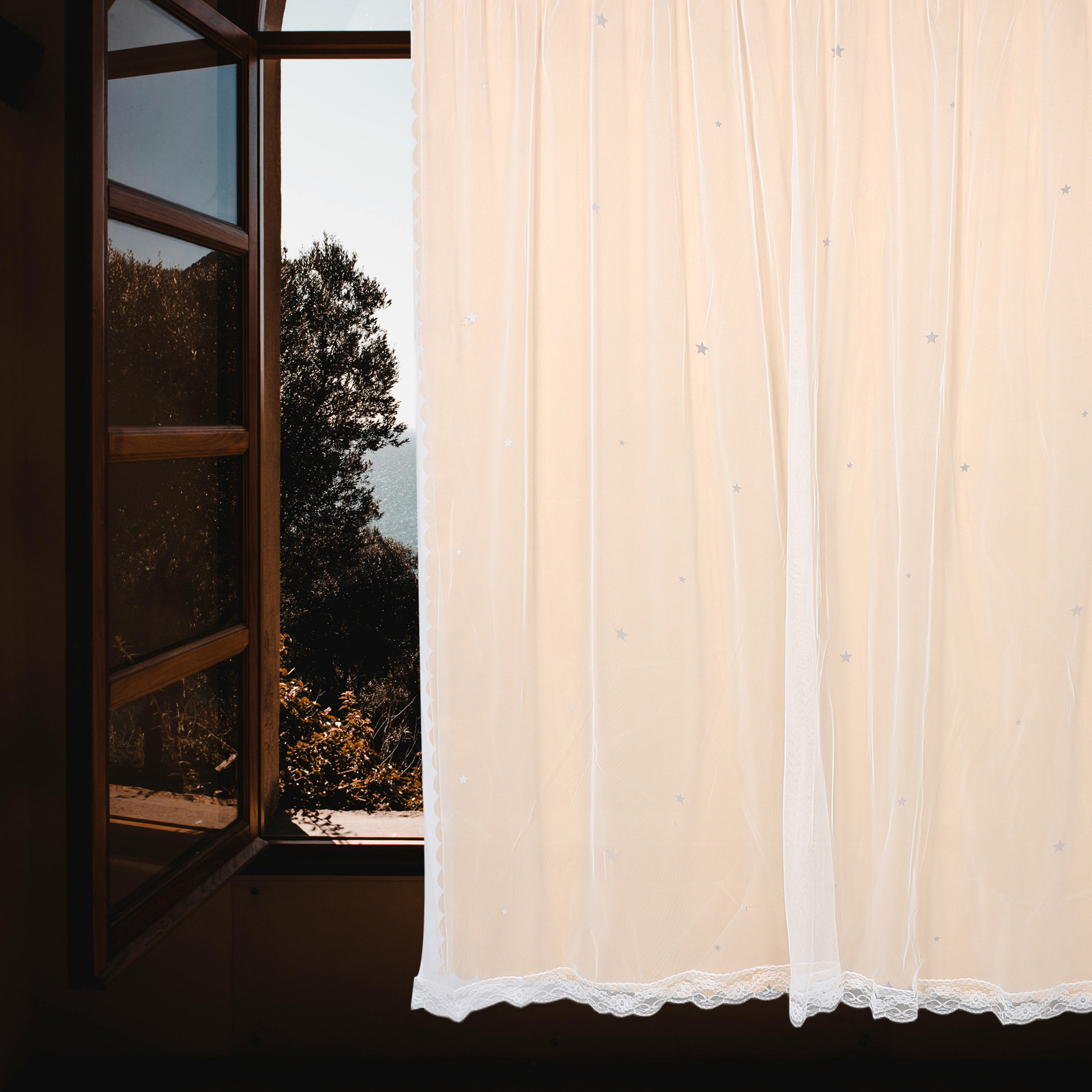 Star Hollow Pattern Blackout C - Home Decor Curtain review and price