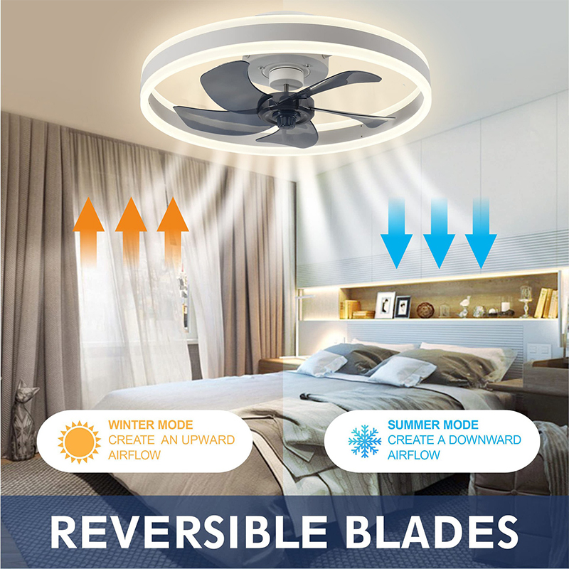 LED Ceiling Light Fan With APP - Home Decor App review and price