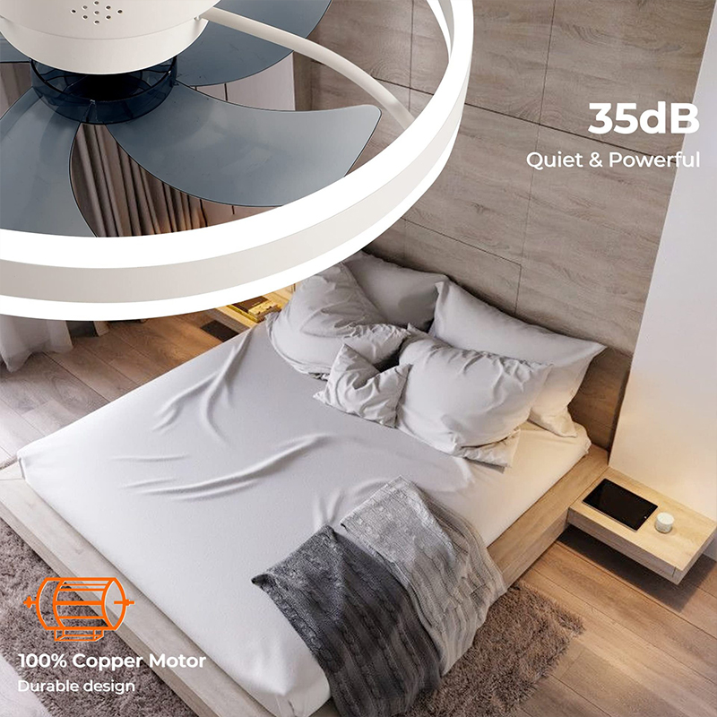 LED Ceiling Light Fan With APP - Home Decor App review and price